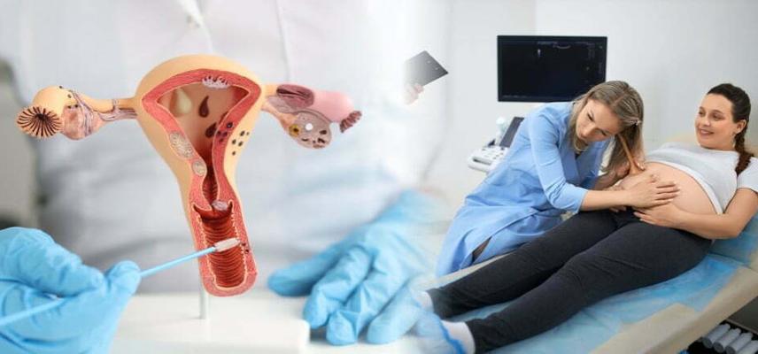 Obstetrics and Gynaecology